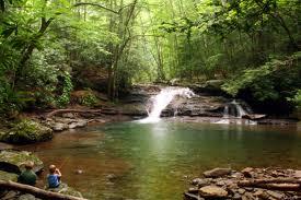 Papa-bun pt pesti - images.jpeg